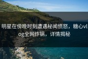 明星在傍晚时刻遭遇秘闻愤怒，糖心vlog全网炸锅，详情揭秘