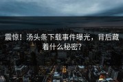 震惊！汤头条下载事件曝光，背后藏着什么秘密？