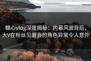 糖心vlog深度揭秘：内幕风波背后，大V在粉丝见面会的角色异常令人意外