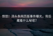 愤怒！汤头条网页版事件曝光，背后藏着什么秘密？