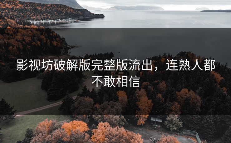 影视坊破解版完整版流出，连熟人都不敢相信