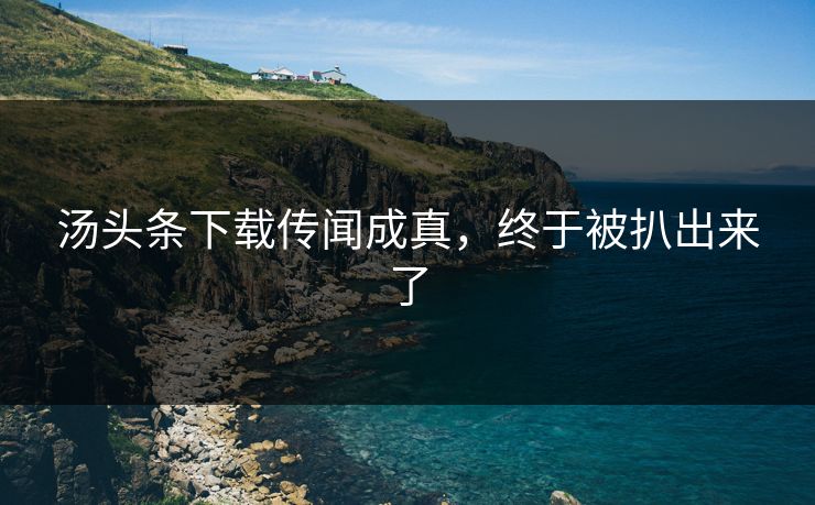 汤头条下载传闻成真，终于被扒出来了