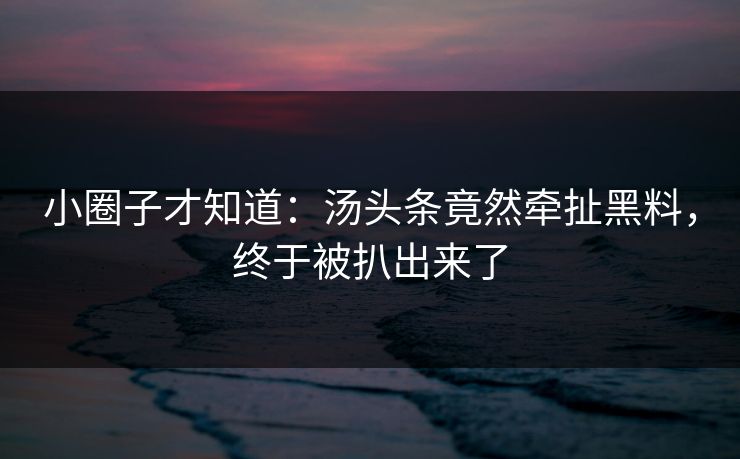小圈子才知道：汤头条竟然牵扯黑料，终于被扒出来了