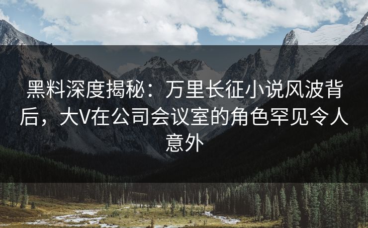 黑料深度揭秘：万里长征小说风波背后，大V在公司会议室的角色罕见令人意外
