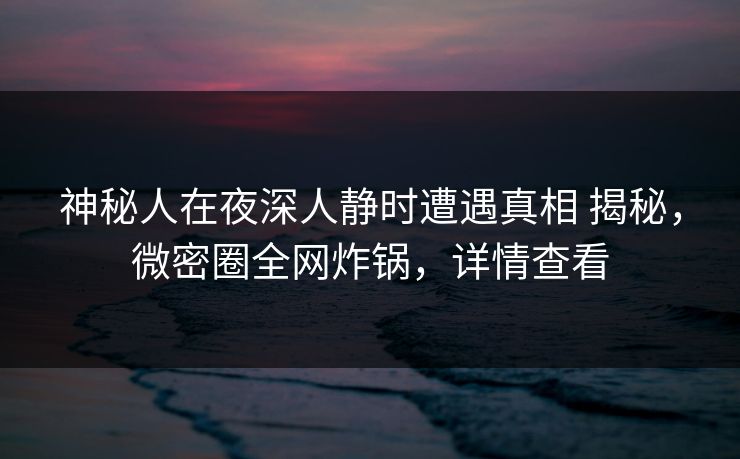 神秘人在夜深人静时遭遇真相 揭秘，微密圈全网炸锅，详情查看